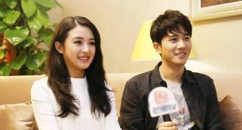 吃瓜爆料彭冠英,瓜田里的星光，揭秘娱乐圈背后的故事